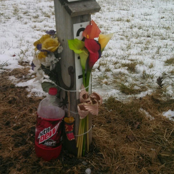 Meet your Posher, Laura - Picture 1 of 1